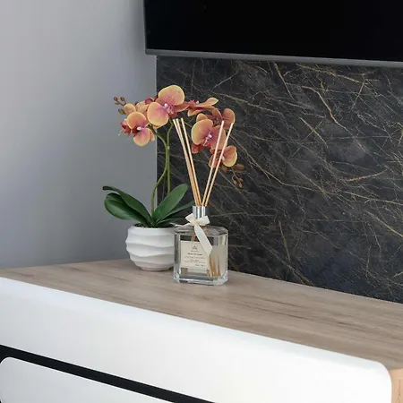 Stylowy W Centrum Poznania By Renters Daire *